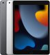 iPad 10.2-inch (9th-Gen) 2021